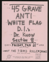45 GRAVE w/ Anti, White Flag, DI's, Dr. Know, Section 8 at T-Bird Rollerdrome